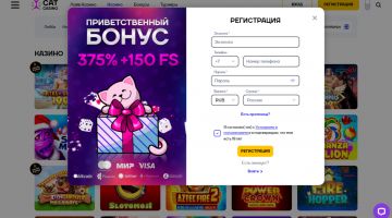 Регистрация нового игрока в Cat Casino
